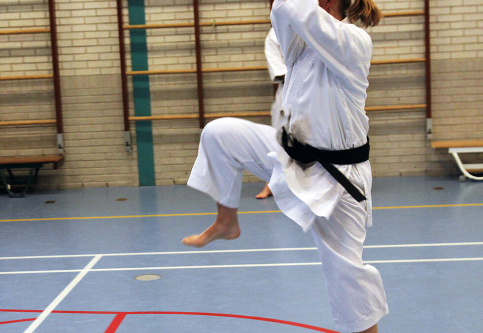 Kishido Karate | Leiden | Karin Nieuwendijk