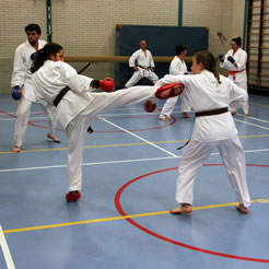 Kishido Karate | Leiden | Kumite | Sparren