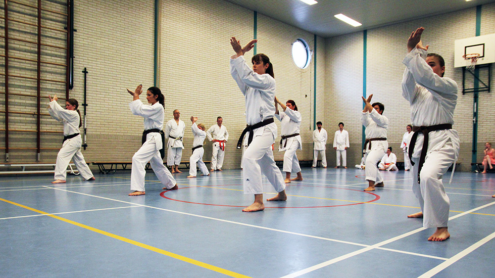 Kishido Karate | Leiden | Training