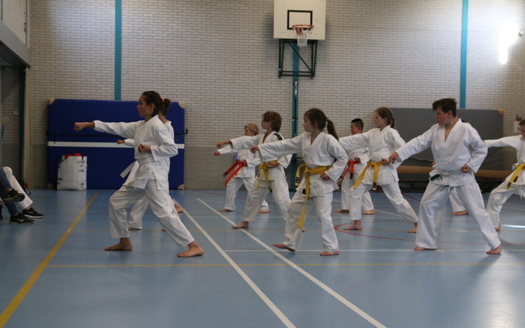 Waarom karate voor kinderen zo nuttig is